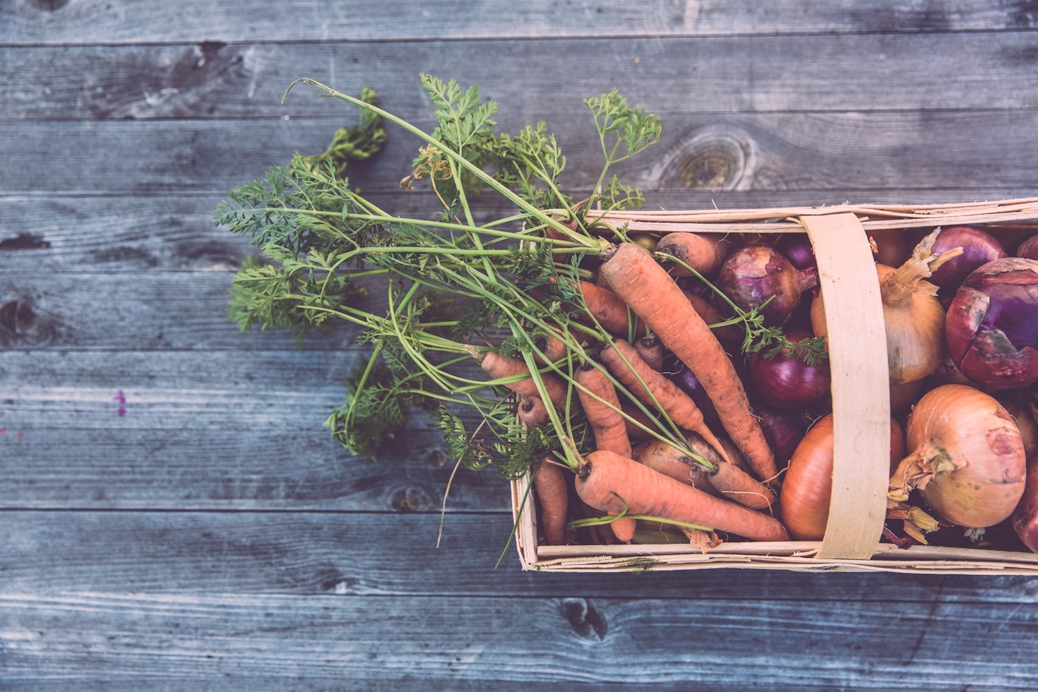 The Future of Gardening: Embrace Technology