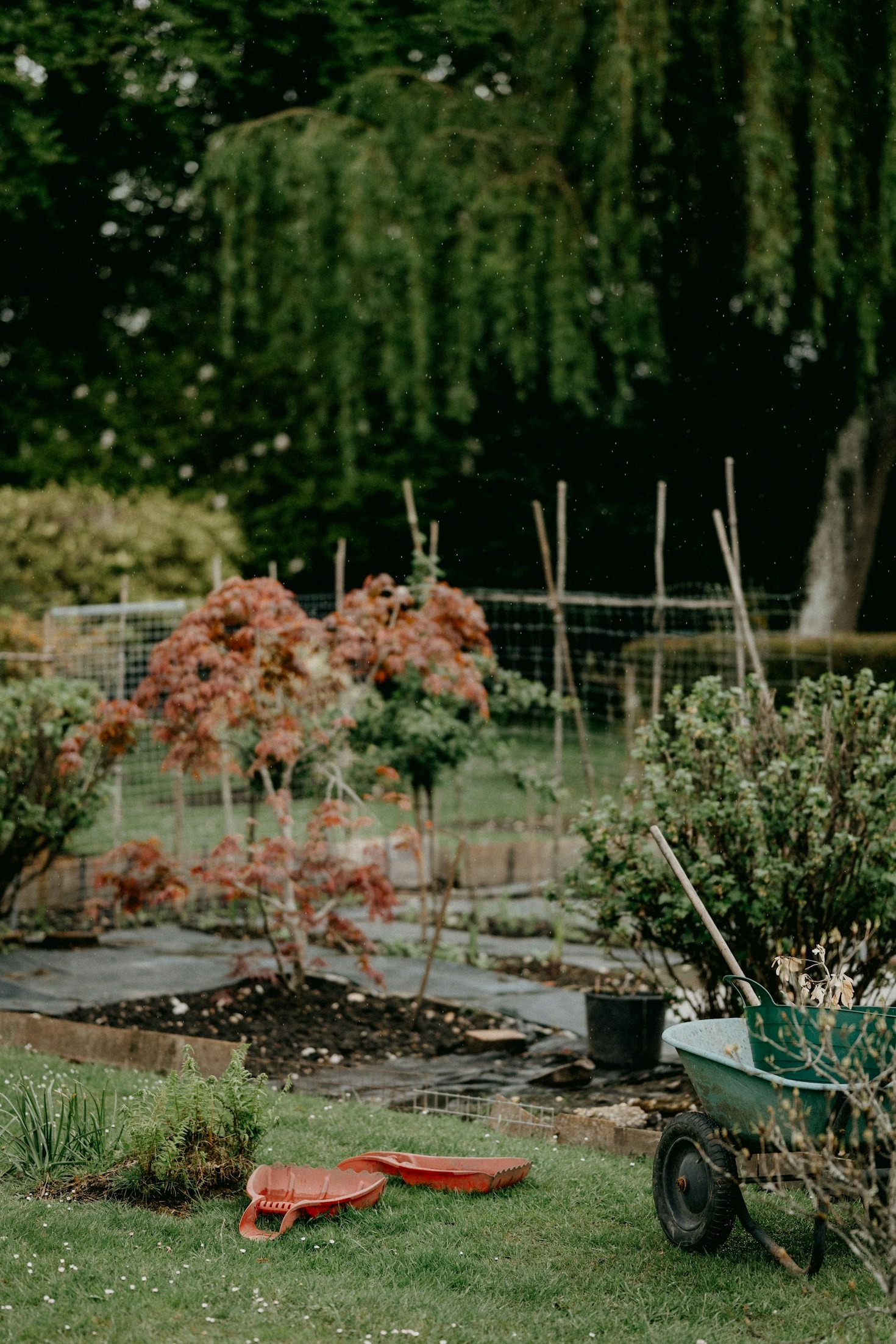 Eco-Friendly Gardening: Sustainable Practices for Home